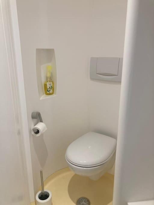 Charmant Studio Terrasse 25Min Aeroport Cdg Сен-Брис-су-Форе Екстер'єр фото